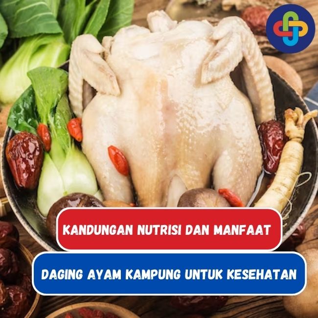 Kandungan Nutrisi dan Manfaat Kesehatan Ayam Kampung